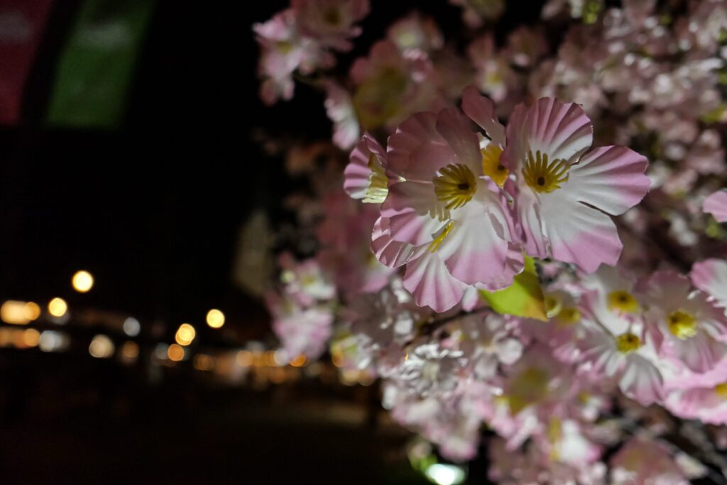 ライカ D-Lux 8で夜に撮影した作例。桜の造花に寄り、背景の街灯が丸いボケになっている