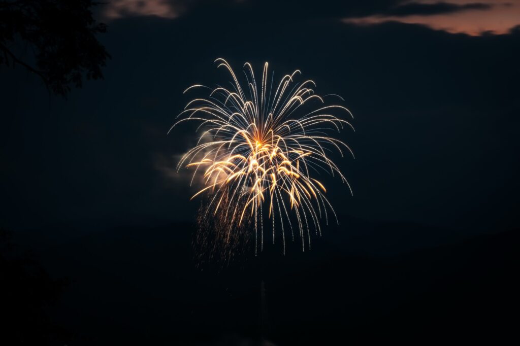早見表どおりの設定で撮った花火の作例。暗い夜空に金色の光の尾が最後まで伸びている