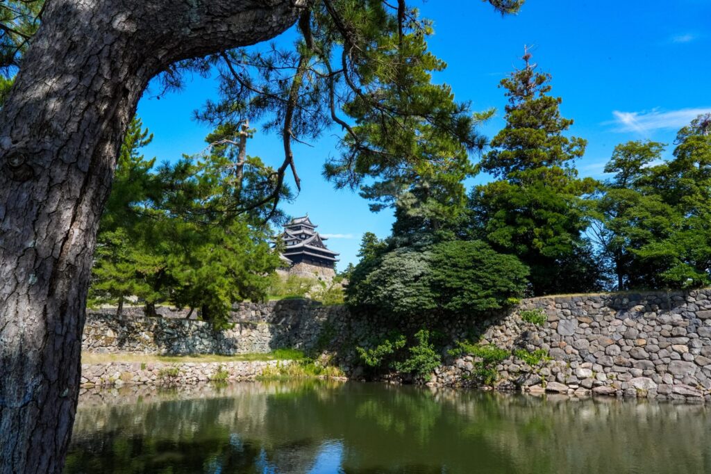 旅先で撮影した城の風景。手前の松の幹と枝が額縁になり、堀の水面に石垣と空が映り込んでいる